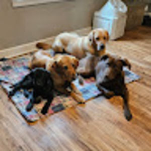 Meet your Posher, Ariane